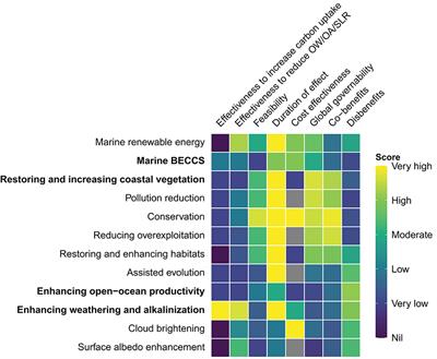 The Potential for Ocean-Based Climate Action: Negative Emissions Technologies and Beyond